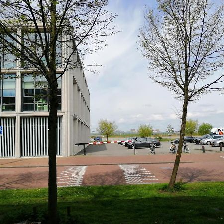 All You Need, A Comfy Place Amsterdam Luaran gambar